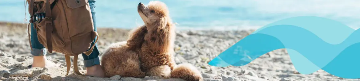 Heartland Vet Supply  4% Cashback