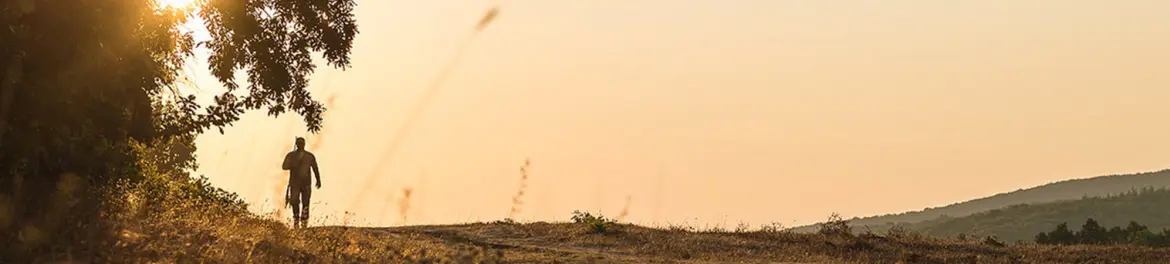 Hillman  8% Cashback