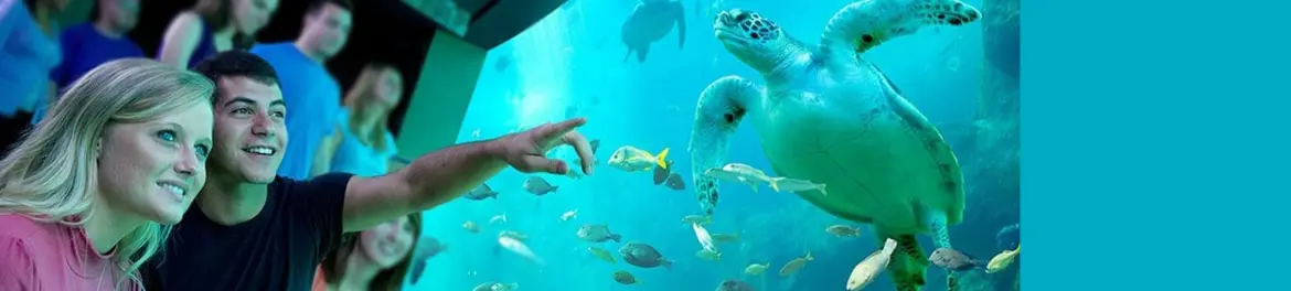 Orlando Vacation up to 1% Cashback