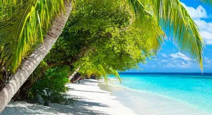 Apple Vacations -  1% Cashback