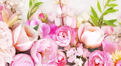 Blooms Today -  6% Cashback