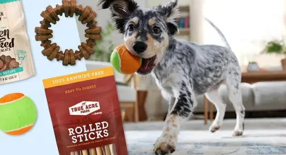 Chewy -  3% Cashback