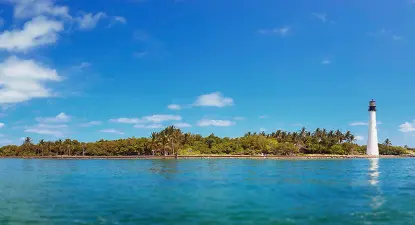 Living DNA -  8$ Cashback