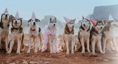 Only Natural Pet -  3% Cashback