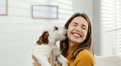 PetCareSupplies -  7% Cashback