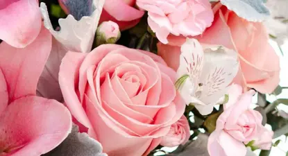 Teleflora -  3% Cashback