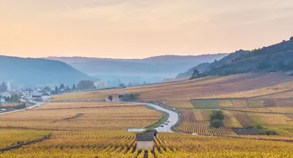 Trafalgar Tours -  3% Cashback